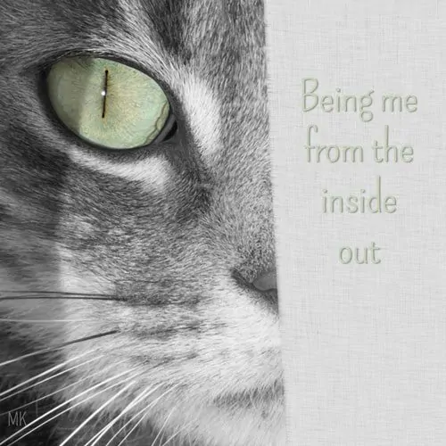 Being me from the inside out. A message brought to you with love, light and blessings from Marci Kobayashi at lightmessagesoflove.com