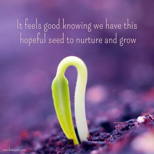 It feels good knowing we have this hopeful seed to nurture and grow. A message brought to you with love, light and blessings from Marci Kobayashi at marcikobayashi.com