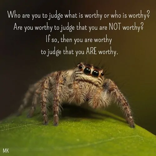 Who are you to judge what is worthy or who is worthy? Are you worthy to judge that you are not worthy? If so, then you are worthy to judge that you are worthy. A message brought to you with love, light and blessings from Marci Kobayashi at marcikobayashi.com
