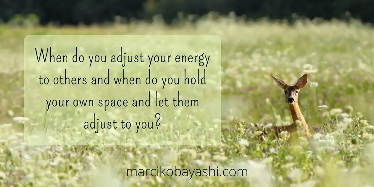 When do you adjust your energy to others and when do you hold your own space and let them adjust to you? | Exploring life with Marci at marcikobayashi.com