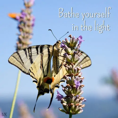 Bathe yourself in the light. | A message brought to you with love, light and blessings from Marci Kobayashi at marcikobayashi.com