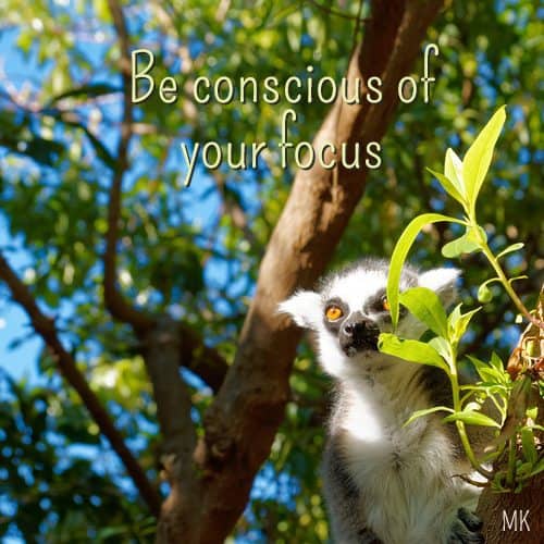 Be conscious of your focus. | An intuitive message brought to you with love, light and blessings from Marci Kobayashi at marcikobayashi.com