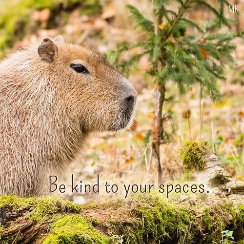 Be kind to your spaces. | A message brought to you with love, light and blessings from Marci Kobayashi at marcikobayashi.com