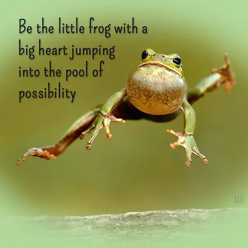 Be the little frog with a big heart jumping into the pool of possibility. | A message brought to you with love, light and blessings from Marci Kobayashi at marcikobayashi.com