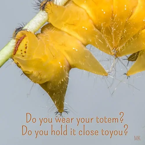 Do you wear your totem? Do you hold it close to you? | A message brought to you with love, light and blessings from Marci Kobayashi at marcikobayashi.com