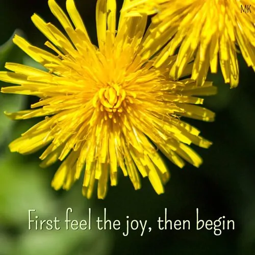 First feel the joy, then begin. | An intuitive message brought to you with love, light and blessings from marcikobayashi.com