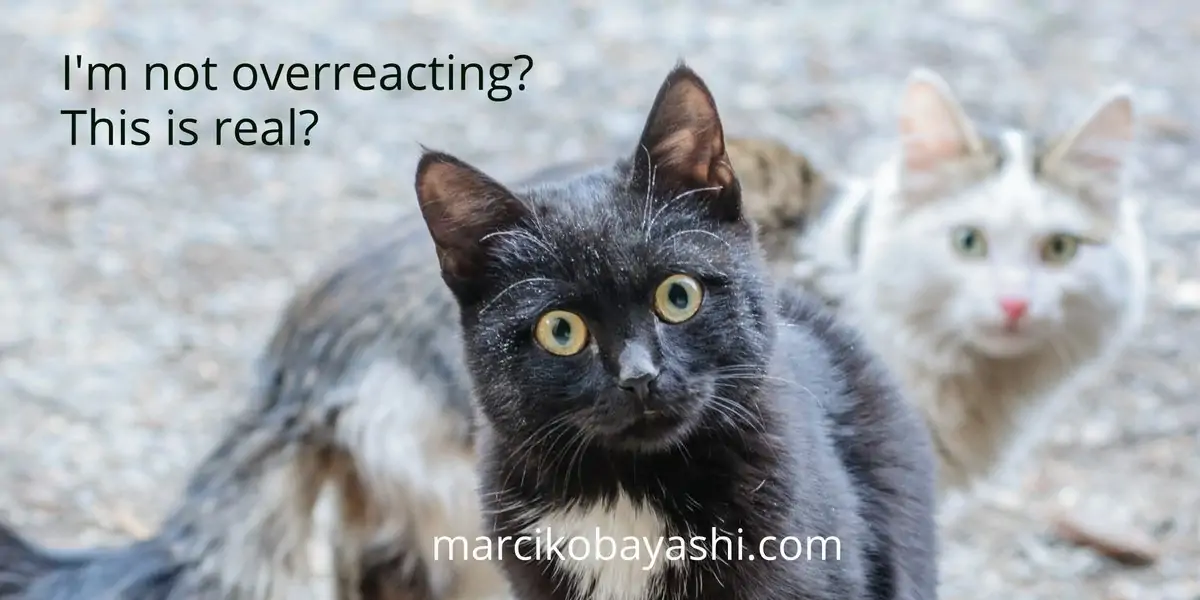 I'm not overreacting? This is real? | Living with Alzheimer's with Marci at marcikobayashi.com