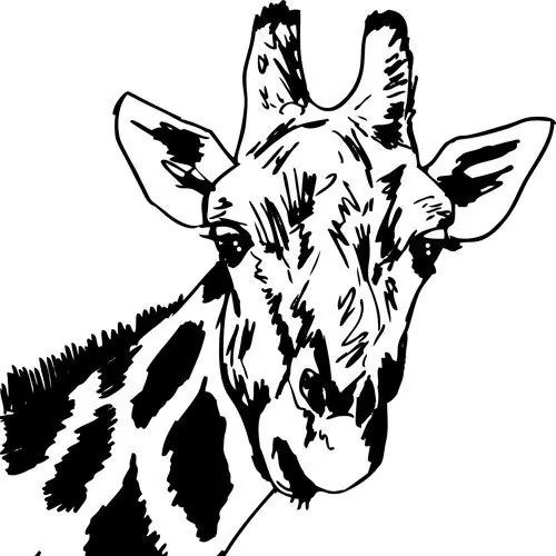 Most Common Question Japanese People Ask Me #1