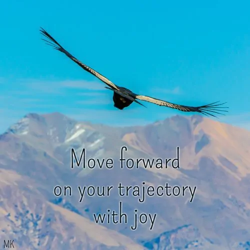 Move forward on your trajectory with joy. | A message brought to you with love, light and blessings from Marci Kobayashi at marcikobayashi.com