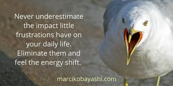 Never underestimate the impact little frustrations have on your daily life. | Marci's musings at marcikobayashi.com