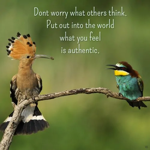 Don't worry what others think. Put out into the world what you feel is authentic. | A message brought to you with love, light and blessings from Marci Kobayashi at marcikobayashi.com