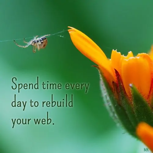 Spend time every day to rebuild your web. A message brought to you with love, light and blessings from Marci Kobayashi at marcikobayashi.com