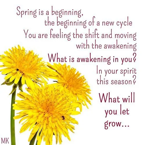 Spring is a beginning, the beginning of a new cycle. You are feeling the shift and moving with the awakening. What is awakening in you? What is awakening in your spirit this season? What will you let grow? A message brought to you with love, light and blessings from Marci Kobayashi at marcikobayashi.com