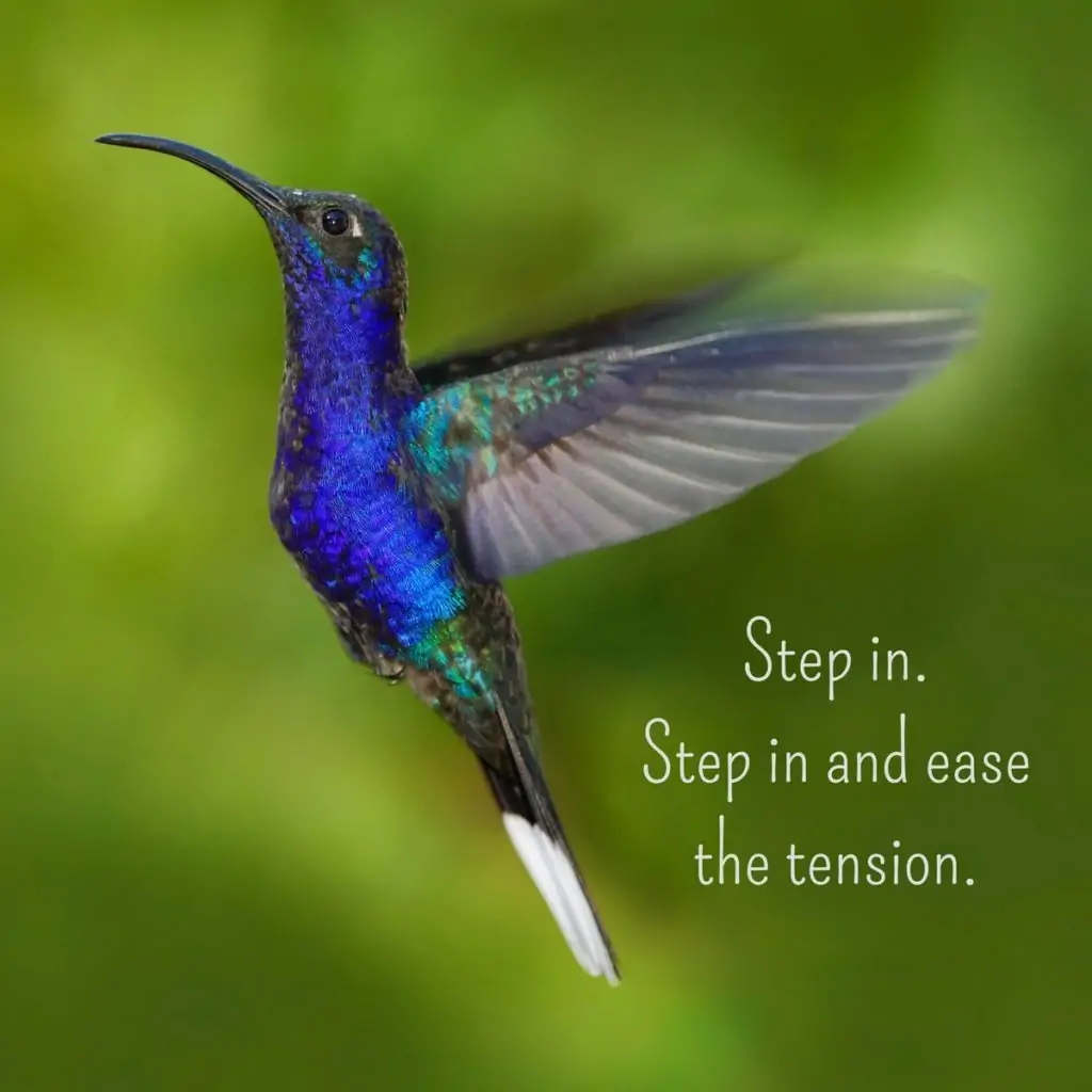 Step in. Step in and ease the tension.. | An intuitive message brought to you with love, light and blessings from Marci Kobayashi at marcikobayashi.com
