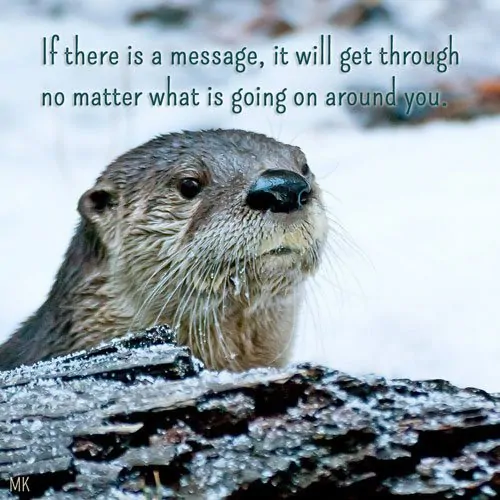 If there is a message, it will get through no matter what is going on around you. | A message brought to you with love, light and blessings from Marci Kobayashi at marcikobayashi.com