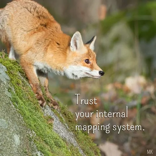 Trust your internal mapping system. | An intuitive message brought to you with love, light and blessings from Marci Kobayashi at marcikobayashi.com