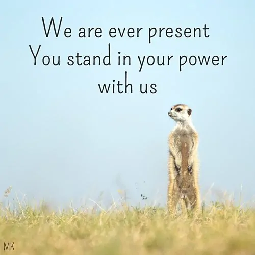 We are ever present. Stand in your power with us. | A message brought to you with love, light and blessings from Marci Kobayashi at marcikobayashi.com