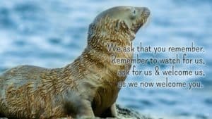 We ask that you remember. Remember to watch for us, ask for us & welcome us, as we now welcome you. | An intuitive message brought to you with love, light and blessings from Marci Kobayashi at marcikobayashi.com