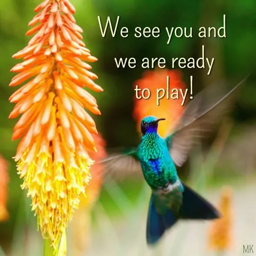 We see you and we are ready to play. | A message brought to you with love, light and blessings from Marci Kobayashi at marcikobayashi.com