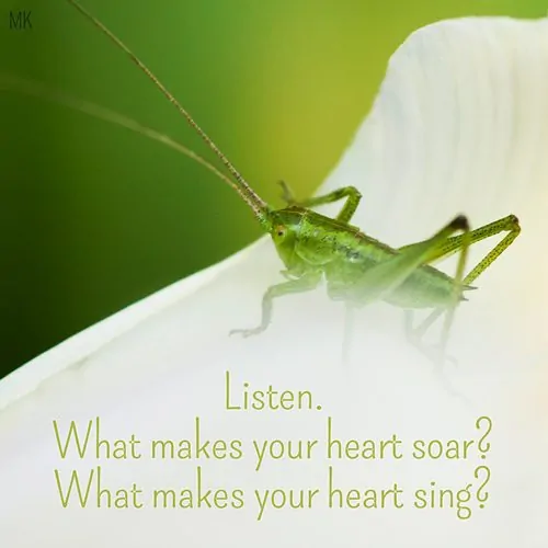 Listen. What makes your heart soar? What makes your heart sing? | A message brought to you with love, light and blessings from Marci Kobayashi at marcikobayashi.com